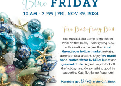 Blue Friday Holiday Shop @ Cabrillo Marine Aquarium